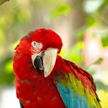 Navrh-bez-nazvu-13 Navrh-bez-nazvu-13