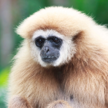 Navrh-bez-nazvu-14 Navrh-bez-nazvu-14